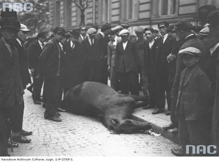 Группа прохожих на улице глазеющих на мертвую лошадь. Группа прохожих на улице глазеющих на мертвую лошадь.