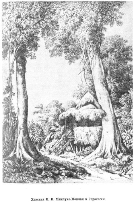 Хижина Миклухо-Маклая Хижина Миклухо-Маклая