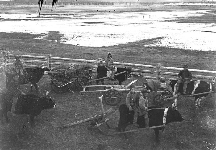 Возвращение бедных крестьян домой с пашни. Россия, Якутия, 1902 год. Возвращение бедных крестьян домой с пашни. Россия, Якутия, 1902 год.