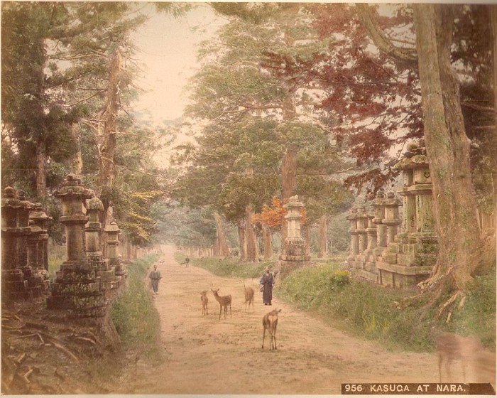 Синтоистское святилище в Наре.