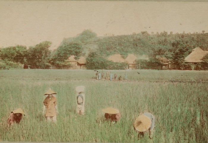 В окрестностях города Йокогама.