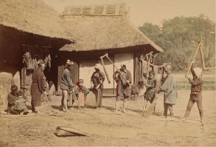 Специальные орудия для обмолота.