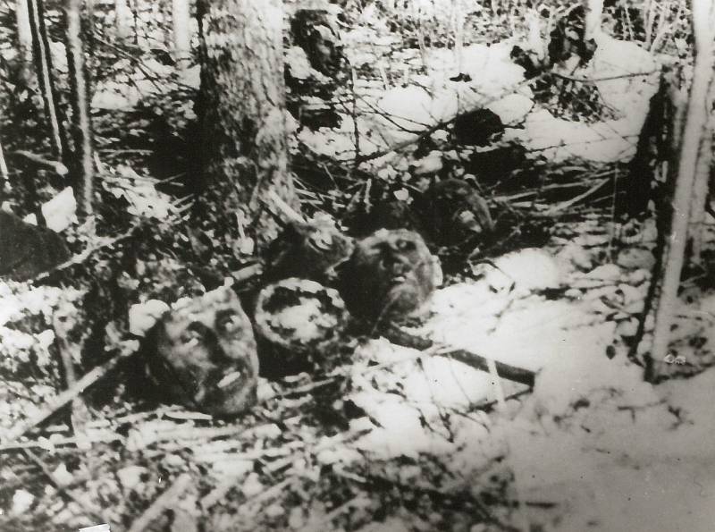 25 мгновений войны на снимках Виктора Антоновича Тёмина 25 мгновений войны на снимках Виктора Антоновича Тёмина