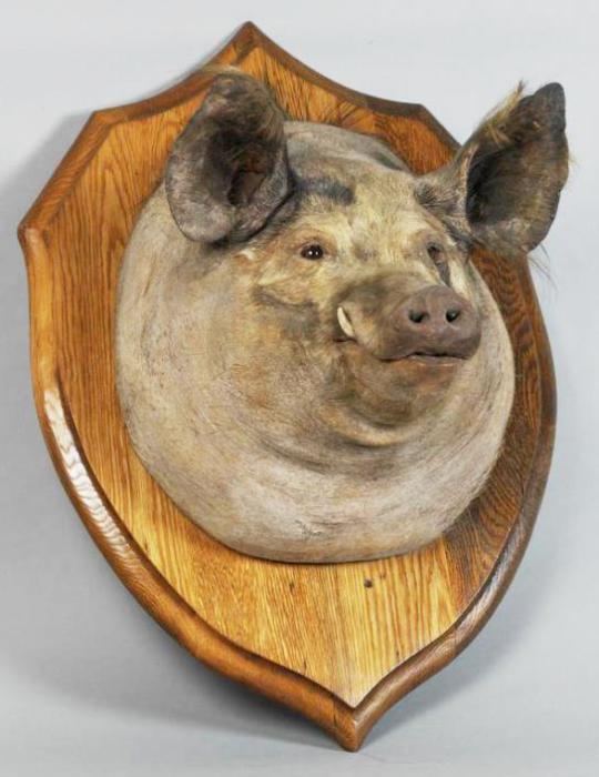 Голова Тирпица до сих пор хранится в Имперском военном музее в Лондоне. | Фото: iwm.org.uk. Голова Тирпица до сих пор хранится в Имперском военном музее в Лондоне. | Фото: iwm.org.uk.