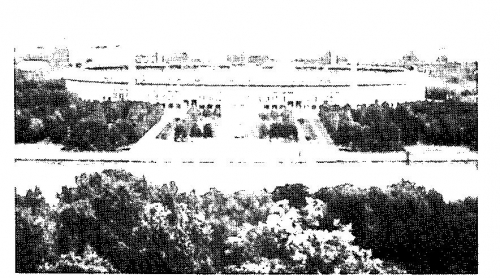 Центральный стадион им. В. И. Ленина