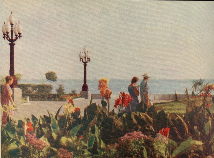 Жители города прогуливаются по Набережной города. Жители города прогуливаются по Набережной города.