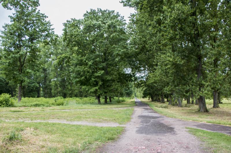 Наша память. Пять шагов по Брестской крепости