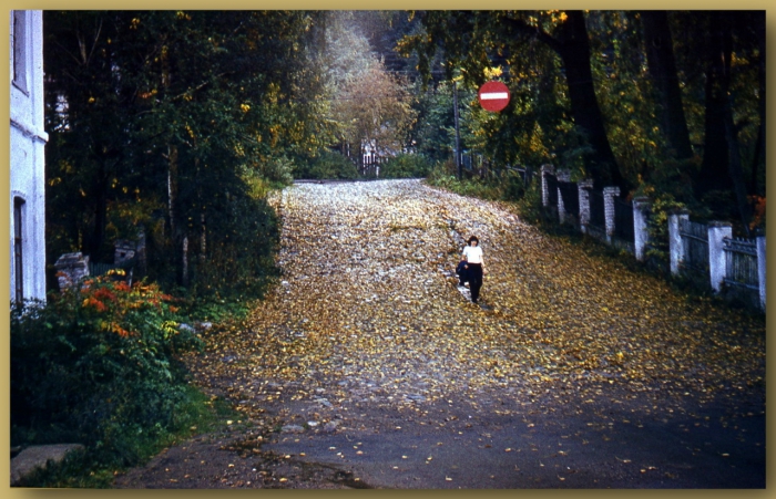Уютный и живописный городок, расположен на правом берегу Волги, в устье речки Шохонки. Уютный и живописный городок, расположен на правом берегу Волги, в устье речки Шохонки.