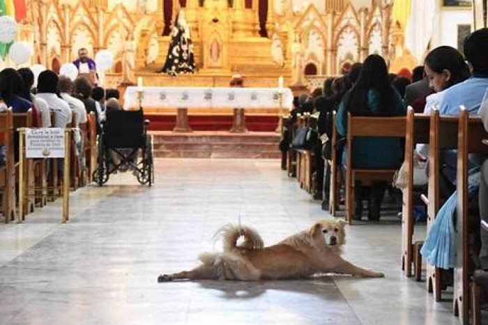 При церкви находился стучальщик. При церкви находился стучальщик.