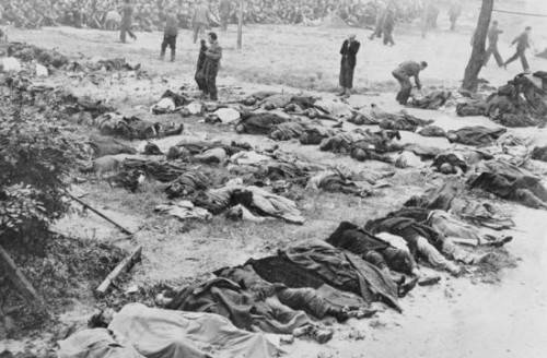 Злодеяния ОУН в начале Великой Отечественной войны