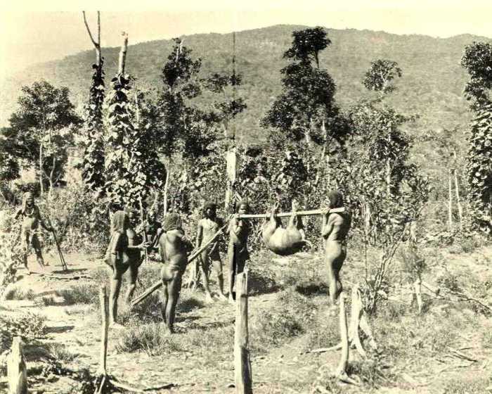 Глава, вернувшись с охоты, поднимает настроение родителям. Глава, вернувшись с охоты, поднимает настроение родителям.