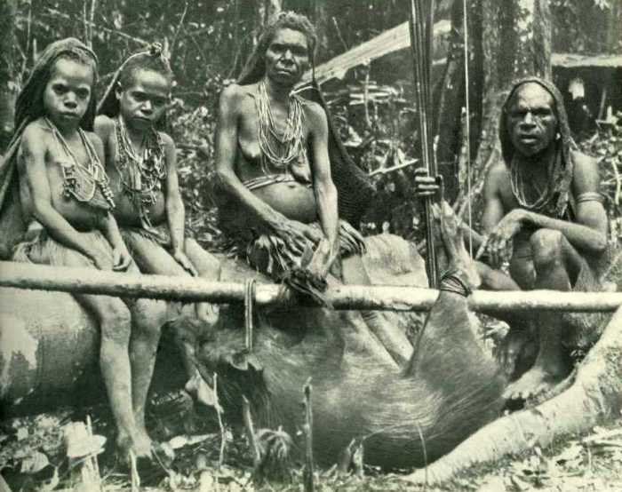 Способ транспортировки живых свиней на палке. Способ транспортировки живых свиней на палке.
