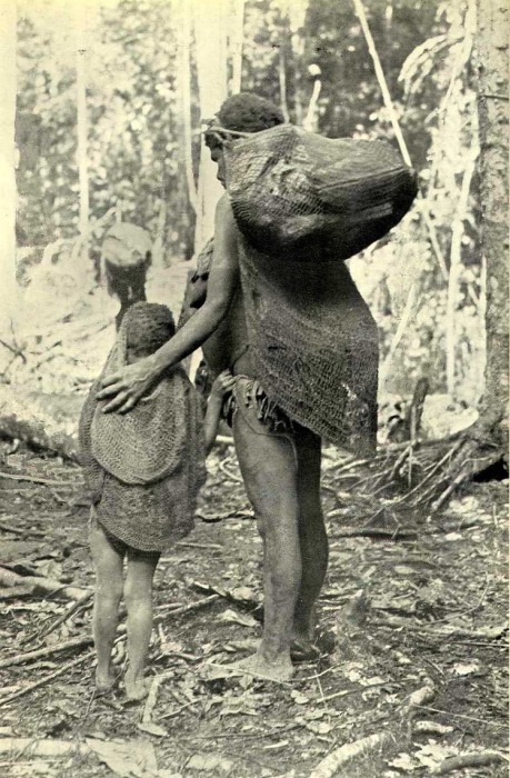 Сетчатые мешки женщина носит на лбу, в верхней сумке урожай, а в нижней – младенец. Сетчатые мешки женщина носит на лбу, в верхней сумке урожай, а в нижней – младенец.