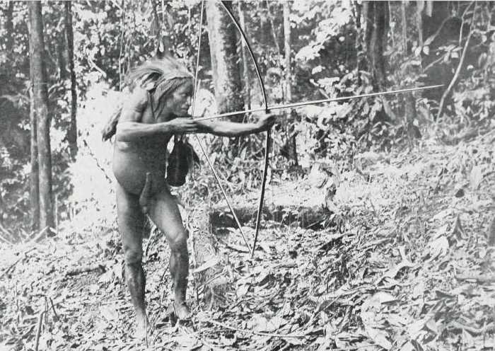 Головной убор главы деревни сделан из перьев казуара на охоте. Головной убор главы деревни сделан из перьев казуара на охоте.