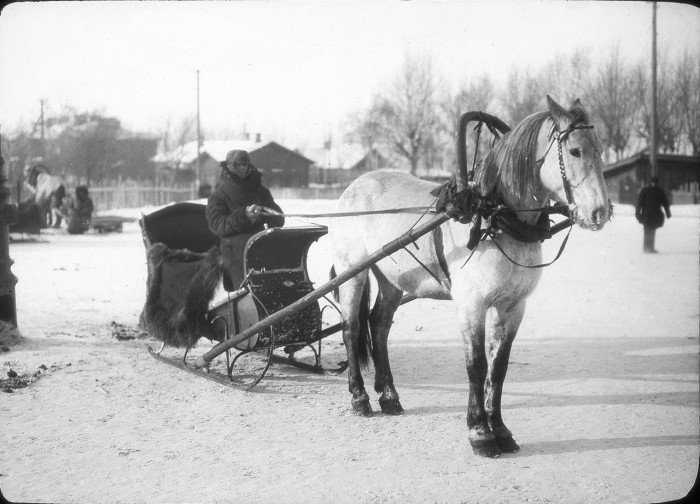 Запряженная лошадь. СССР, Урал, 1929 год. Запряженная лошадь. СССР, Урал, 1929 год.