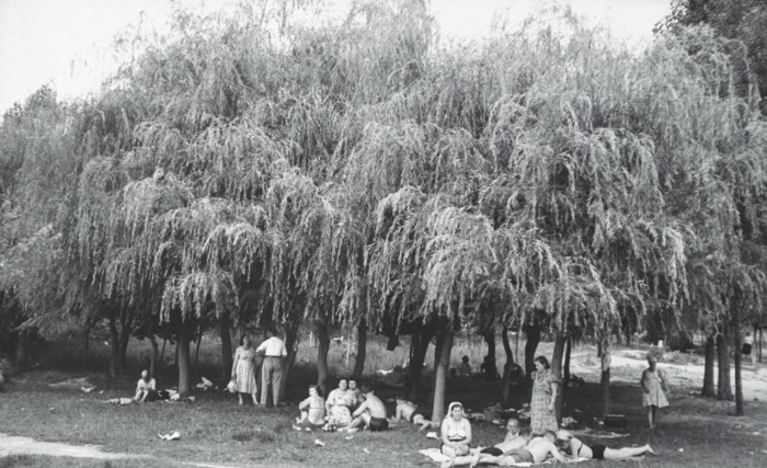 Люди устраивающие пикники на обочине дороги. СССР, Киев, 1960 год. Люди устраивающие пикники на обочине дороги. СССР, Киев, 1960 год.
