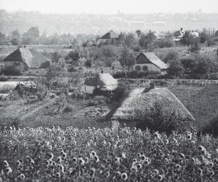 Деревня, располагающаяся неподалеку у поля подсолнечника. СССР, Полтава, 1960 год. Деревня, располагающаяся неподалеку у поля подсолнечника. СССР, Полтава, 1960 год.