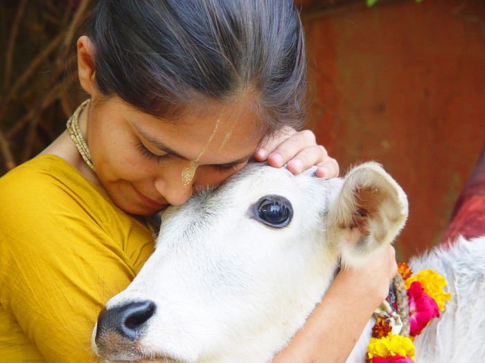 Буддизм и вегетарианство. Буддизм и вегетарианство.