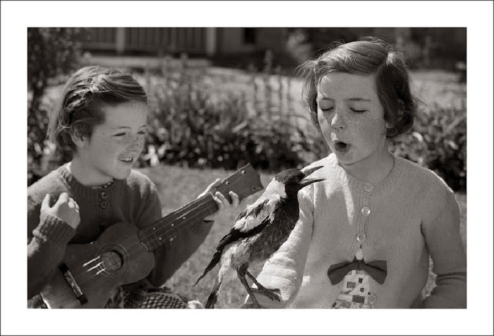 Веселые песни под гитару. Веселые песни под гитару.