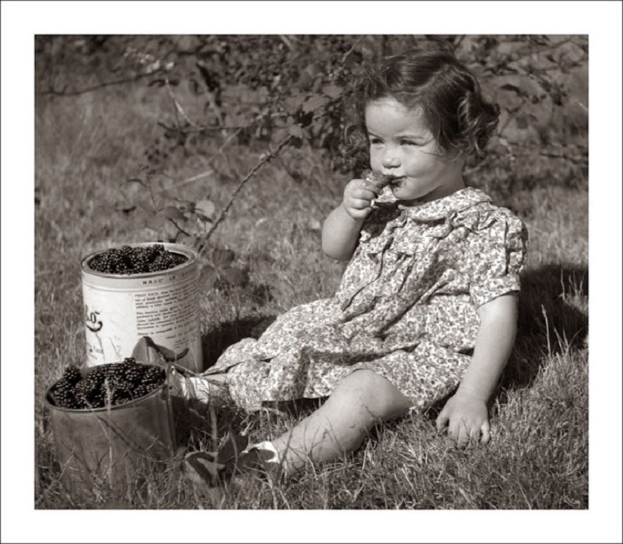 Малышка с аппетитом поедает шелковицу. Малышка с аппетитом поедает шелковицу.