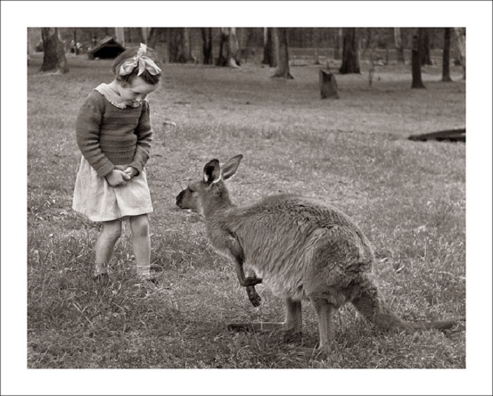 Привет, ты кто? Привет, ты кто?