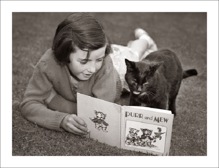 Сказки для кота. Сказки для кота.