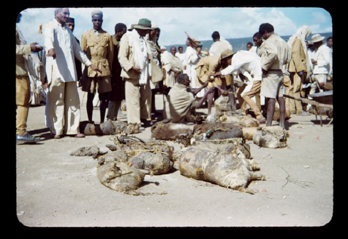 Африканки на берегу реки. Африканки на берегу реки.