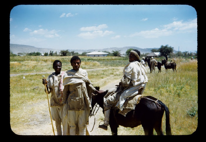 Подготовка поля к сельским работам. Подготовка поля к сельским работам.