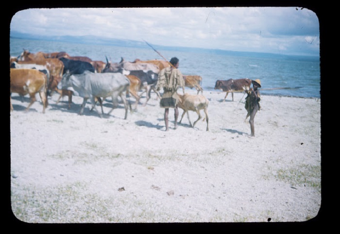 Необычное сооружение и два доктора ждут своих пациентов. Необычное сооружение и два доктора ждут своих пациентов.