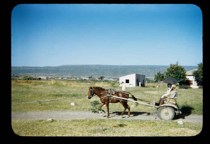 Обычный день эфиопов, жителей Восточной Африки. Обычный день эфиопов, жителей Восточной Африки.