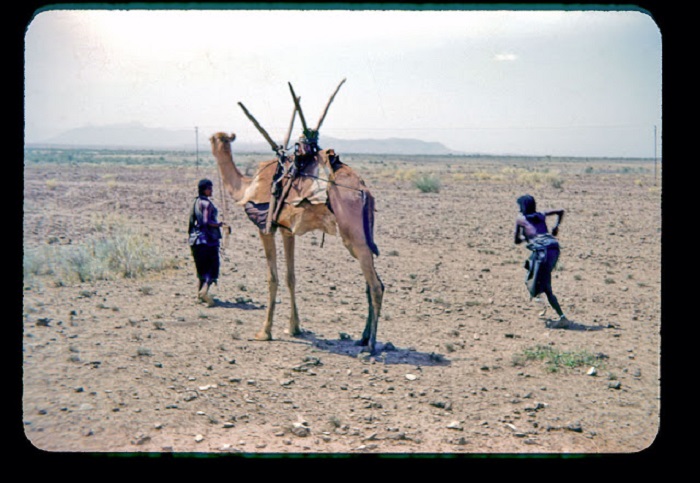 Женщина готовит еду на костре. Женщина готовит еду на костре.