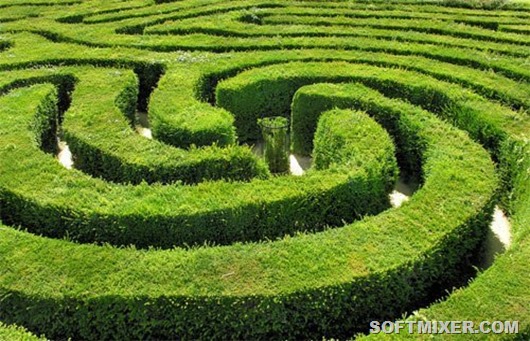 clip_image017 clip_image017