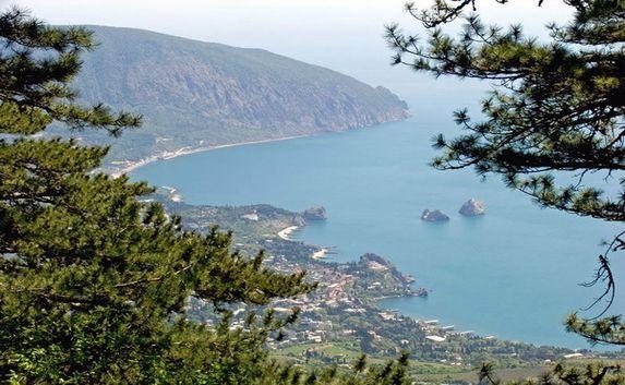 Почти половина строений на побережье Большой Ялты незаконны