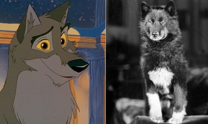 Чучело Балто в Музее естественной истории в Кливленде. | Фото: 4tololo.ru. Чучело Балто в Музее естественной истории в Кливленде. | Фото: 4tololo.ru.