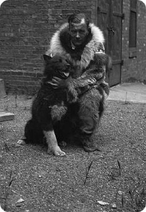 Памятник Балто в Центральном парке в Нью-Йорке. | Фото: 4tololo.ru. Памятник Балто в Центральном парке в Нью-Йорке. | Фото: 4tololo.ru.