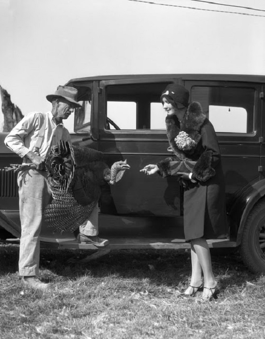 Фермер отдает индейку женщине. Фермер отдает индейку женщине.