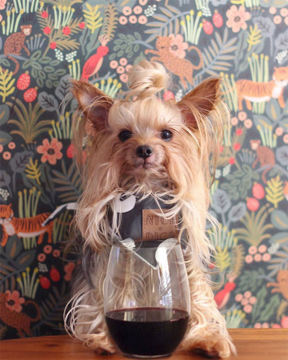 В ожидании гостей. В ожидании гостей.