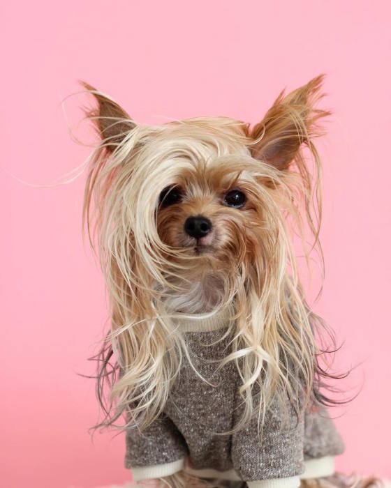 После похода в парикмахерскую. После похода в парикмахерскую.