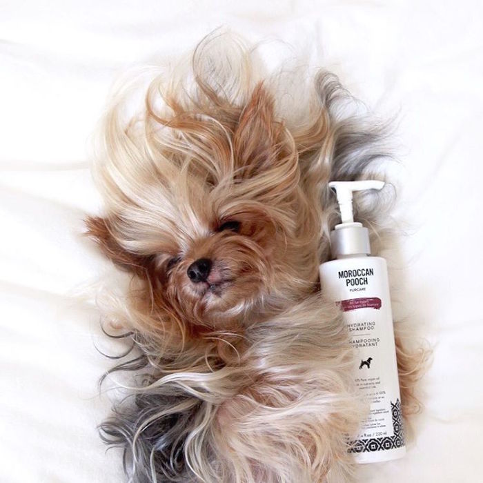 После приятных процедур. После приятных процедур.