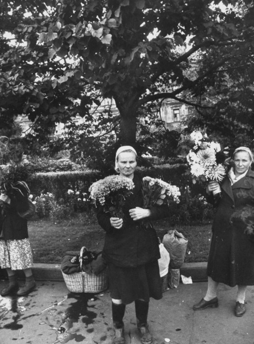 Торговля цветами на улице. СССР, Москва, 1956 год. Торговля цветами на улице. СССР, Москва, 1956 год.