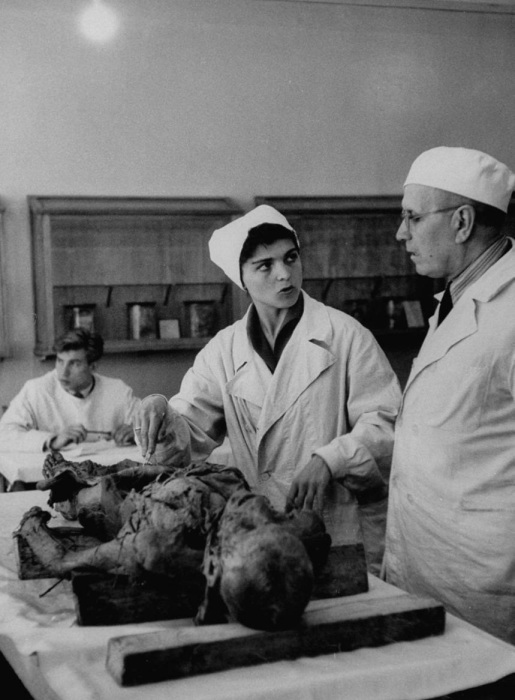 Урок анатомии в медицинском университете. СССР, Москва, 1956 год. Урок анатомии в медицинском университете. СССР, Москва, 1956 год.