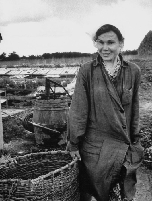 Женщина, работающая в поле. СССР, 1956 год. Женщина, работающая в поле. СССР, 1956 год.