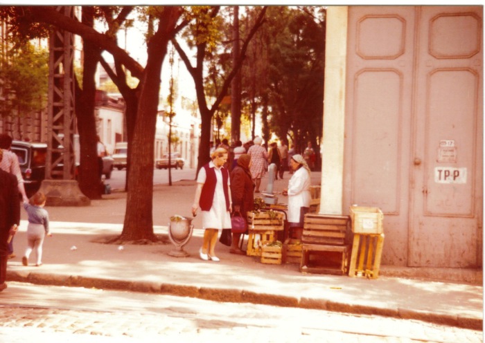 Женщина, торгующая фруктами на улице. СССР, Одесса, 1976 год. Женщина, торгующая фруктами на улице. СССР, Одесса, 1976 год.