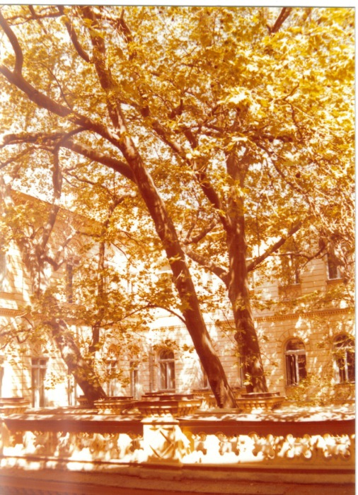 Во дворе гостиницы неподалеку от Дерибасовской улицы. СССР, Одесса, 1976 год. Во дворе гостиницы неподалеку от Дерибасовской улицы. СССР, Одесса, 1976 год.