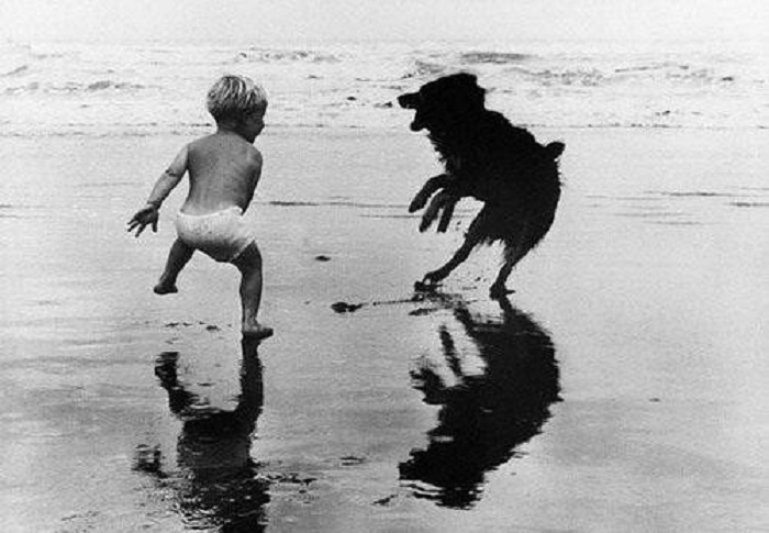 Мальчик беззаботно играет на берегу моря со своим четвероногим другом. Мальчик беззаботно играет на берегу моря со своим четвероногим другом.