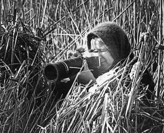 Бабушка снимает на фотоаппарат из высокого камыша.