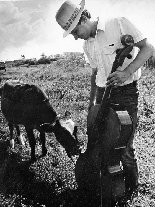 Коза тыкает носом в музыкальный инструмент, как будто хочет еще послушать музыку.