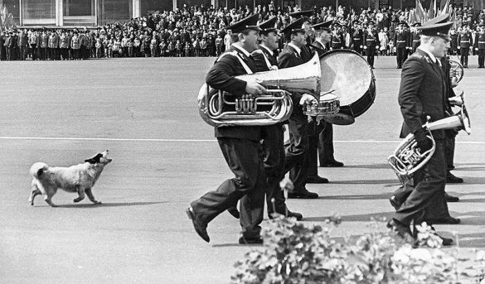 Первомайская демонстрация в сопровождении военно-духового оркестра и собаки, подвывающей в такт.