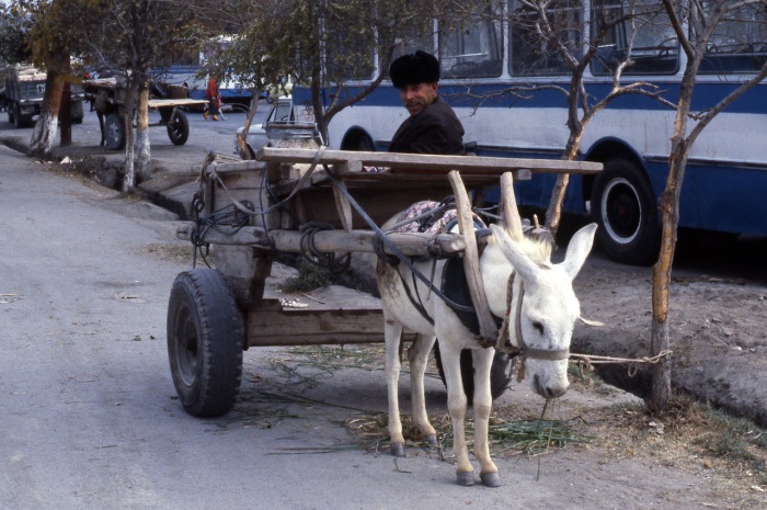 Городской транспорт в центре города. СССР, Узбекистан, Бухара, 1984 год. Городской транспорт в центре города. СССР, Узбекистан, Бухара, 1984 год.
