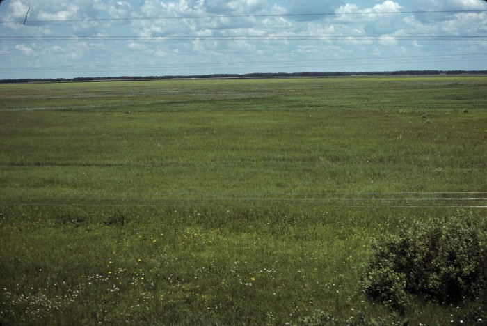 Барабинская степь в южной части Западной Сибири. Барабинская степь в южной части Западной Сибири.